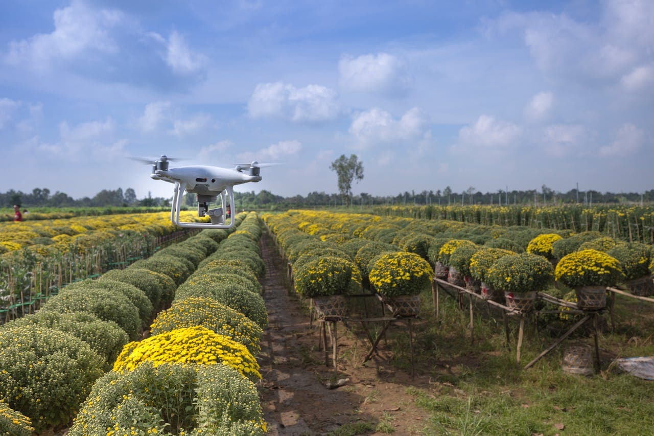Agroindustria